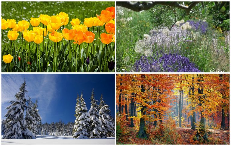 personal color analysis seasons